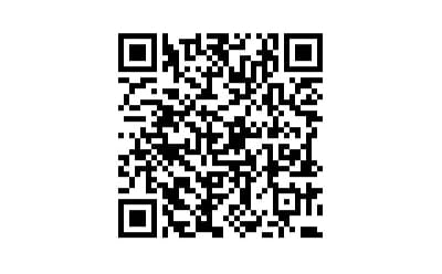 Skyline UPI QR Code